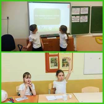 Экологический калейдоскоп 3