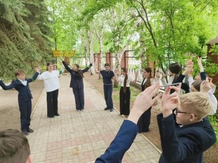 сад доверия 3
